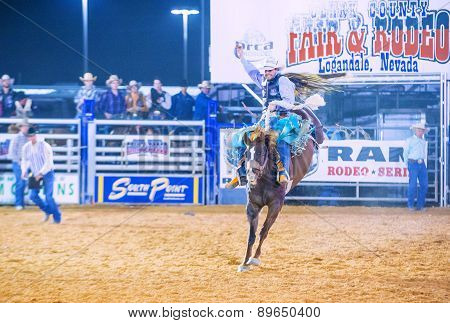 Clark County Fair And Rodeo