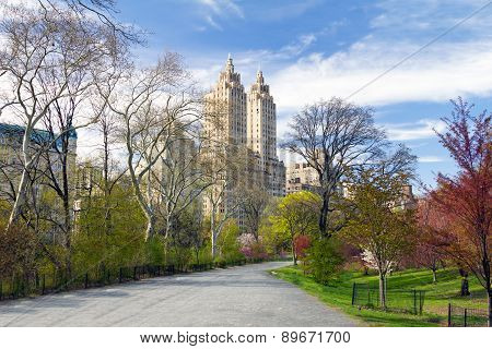 New York City - Central Park Trail In Spring