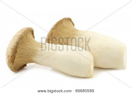 King oyster mushroom (Pleurotus Eringii) on a white background