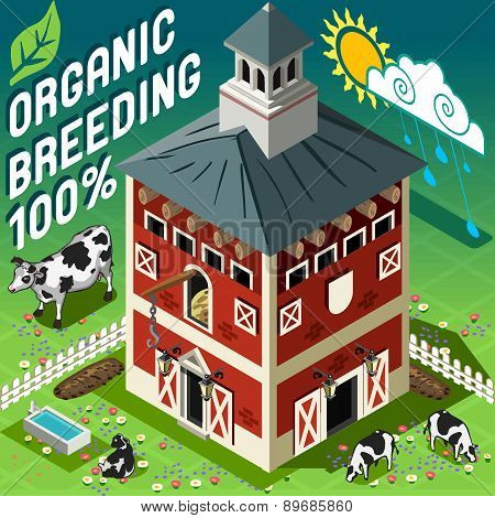 Isometric Cowshed Organic Breeding