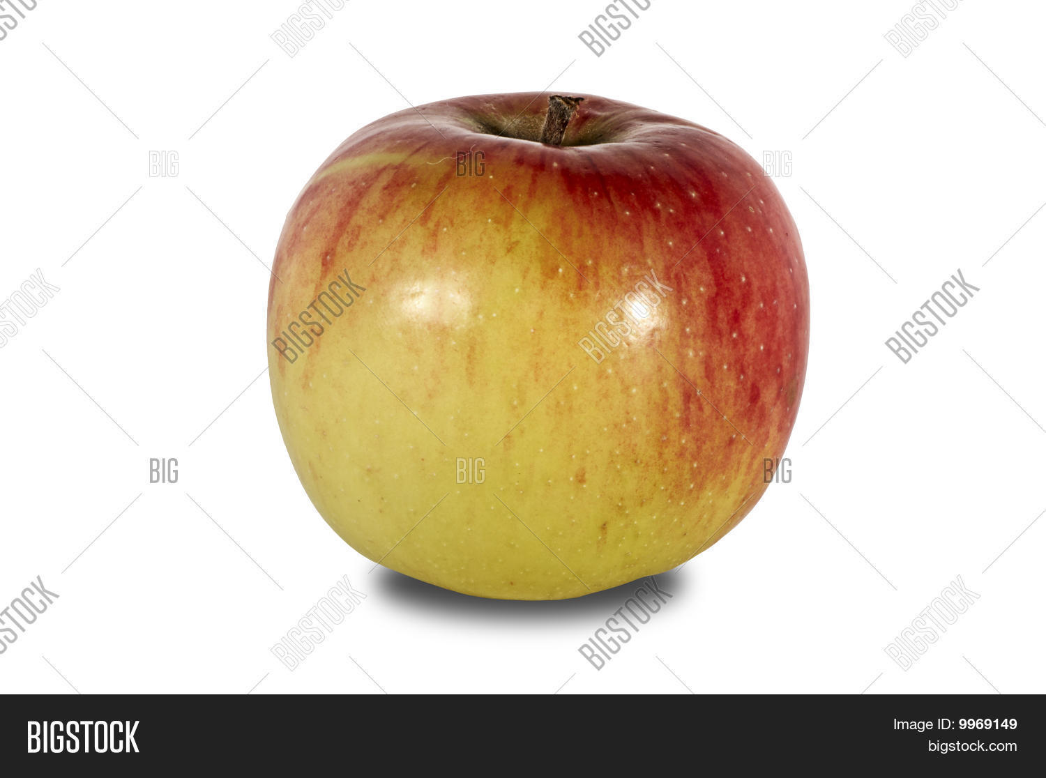 Image Preview