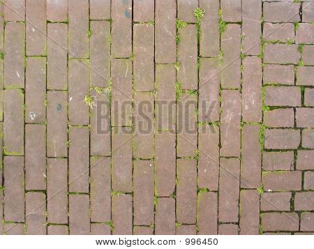 Patroon van bakstenen en gras