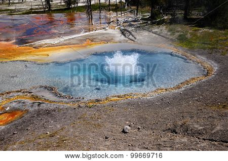 Firehole Spring At Yellowstone National Park