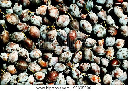 Plums Texture