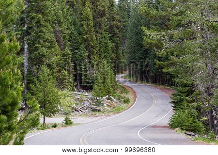 Drive Thru The Forest