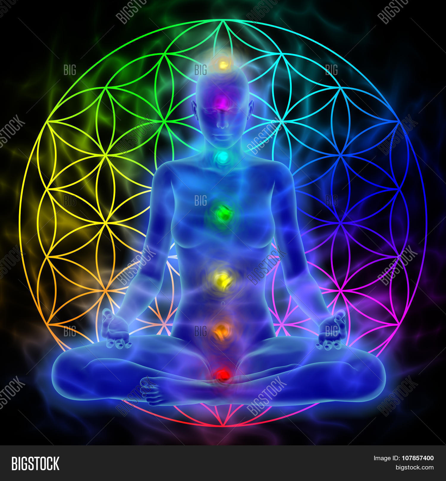 Meditation Flower Image & Photo (Free Trial) Bigstock