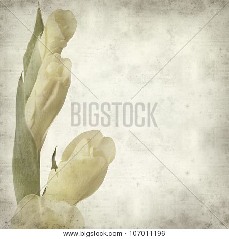 Textured Old Paper Background