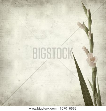 Textured Old Paper Background