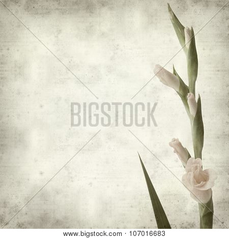 Textured Old Paper Background