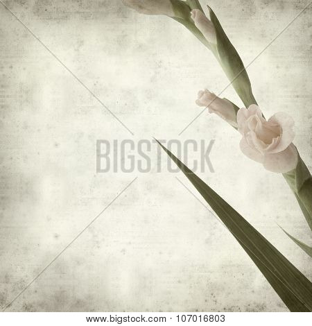 Textured Old Paper Background