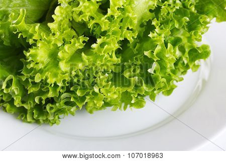 Fresh Organic Meal, Salad In A Plate Isolated