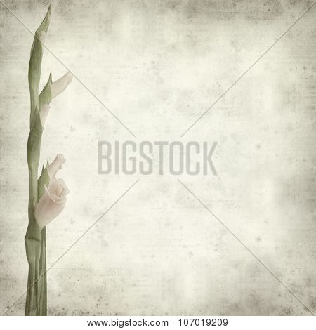 Textured Old Paper Background