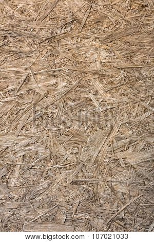 Plywood Panel