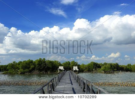 สะพานไม้