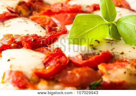 Pizza Margherita