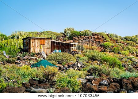 Self-made Hovel In A Tropics. Photo Taken In Tenerife Coast. Canary Islands. Spain