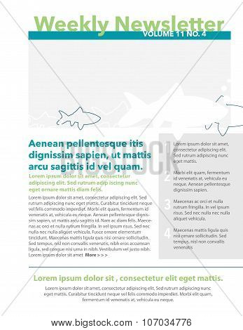 Newsletter