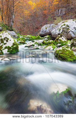 Mountain Stream In Autumn, Julian Alps, Italy