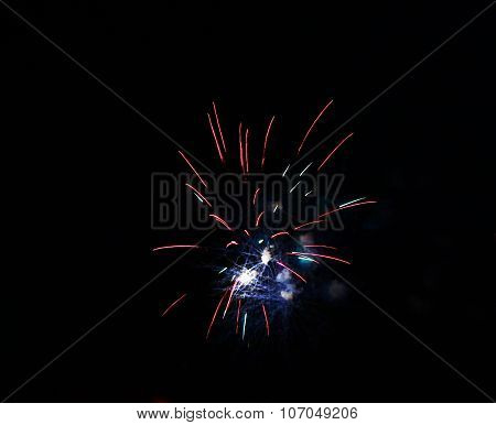 Celebration Firework In The Black Night Sky