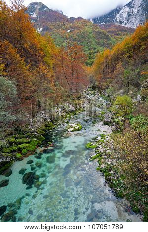 Mountain Stream In Autumn, Julian Alps, Italy