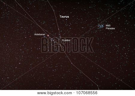 Starfield With Taurus And Pleiades