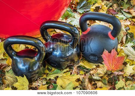 black iron exercise kettlebells and Swiss ball with maple leaves - outdoor  fitness concept