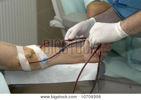 Dialyse Health Care Geneeskunde nier