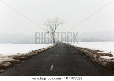 winter road  with snow