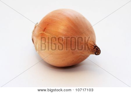 Løg