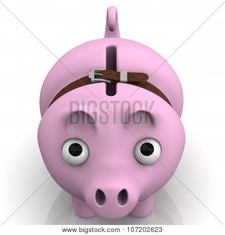 Pig piggy bank in times of economic crisis