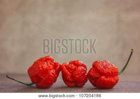 Trinidad moruga scorpion pepper, mos hot chili