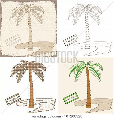 Set of Four Isolated Palm Trees
