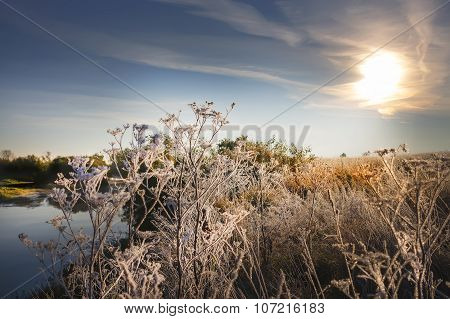 Frosty dawn on the river