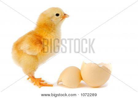 Çok güzel bebek kız