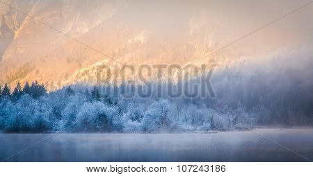 Morning Winter fog on Bled  Lake Slovenia