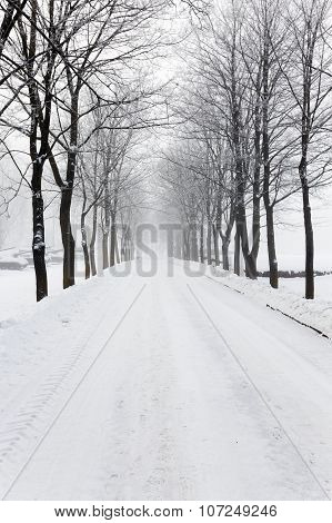 winter road .  with snow