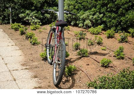 a bike