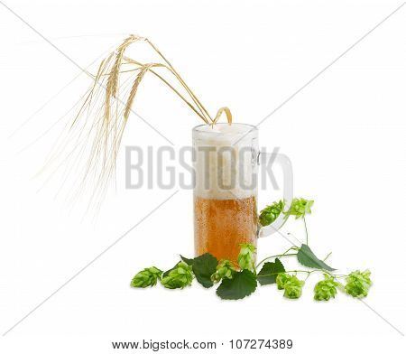 Beer Glassware With Beer, Branch Of Hops, Ears Of Barley