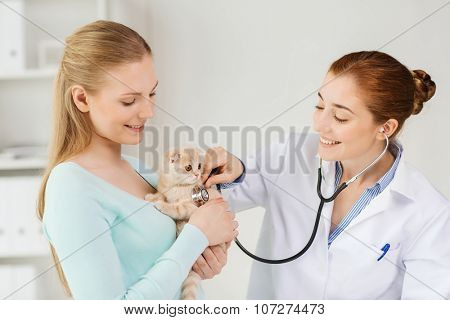 medicine, pet, animals, health care and people concept - happy woman and veterinarian doctor with stethoscope checking scottish fold kitten up at vet clinic
