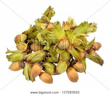 Cobnuts Isolated On White