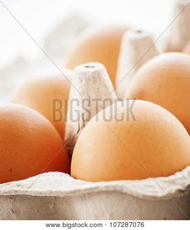 Organic eggs from pasture-raised chickens.