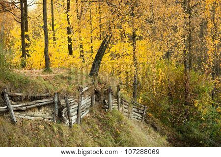 Support Soil Fencing