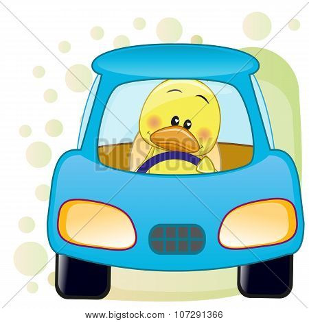 Duck In A Car