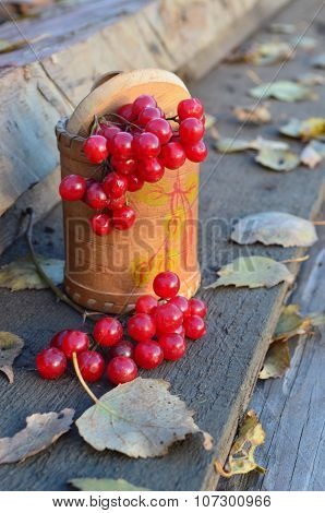 Viburnum berries