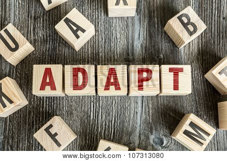 Wooden Blocks with the text: Adapt