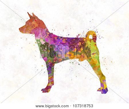 Basenji In Watercolor