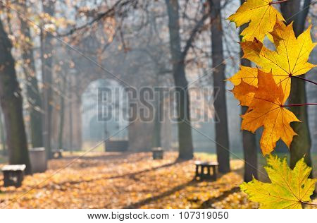 Autumn Colonade With A Gateway