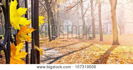 Autumn Colonade With A Gateway