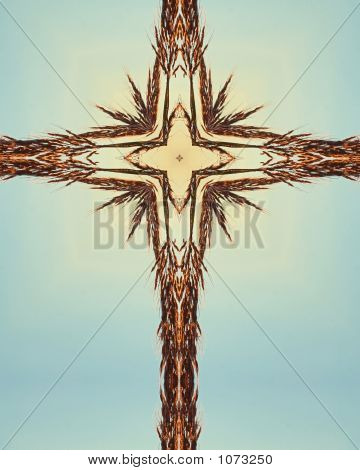 große Bluesteam cross2