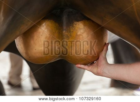 Testicles Images, Illustrations, Vectors - Testicles Stock Photos